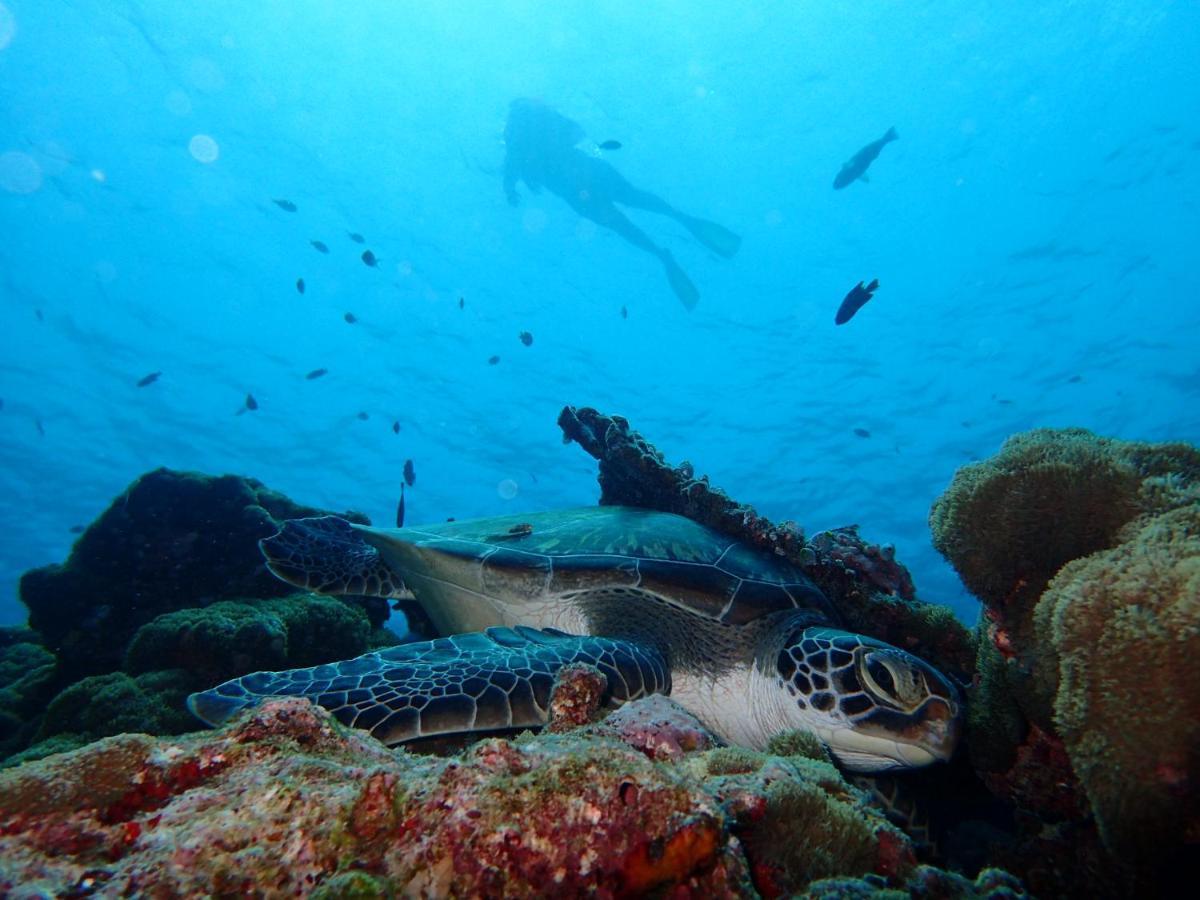 Manta Reserve Maalhos  Екстериор снимка